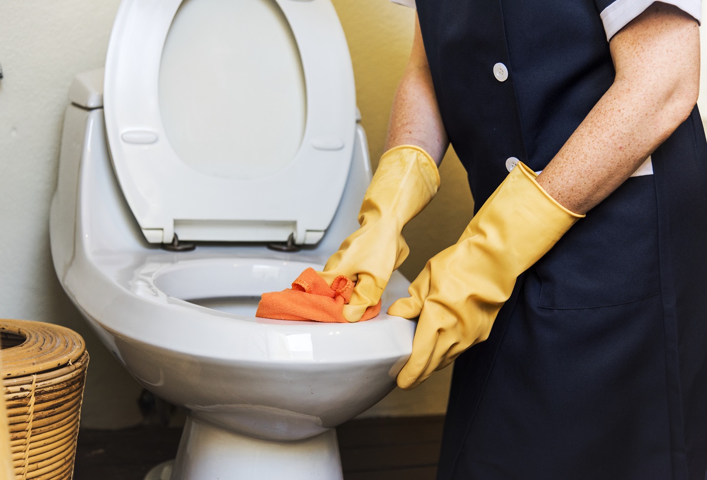 how-to-clean-urine-stains-from-a-toilet-seat-or-bowl-toilet-tips